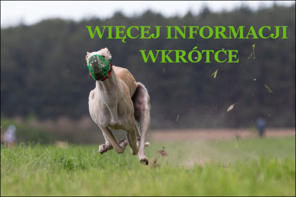 POZNAN COURSING