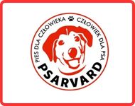 POZNAN COURSING