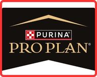 POZNAN COURSING