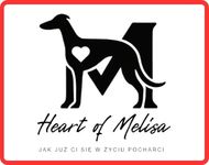 POZNAN COURSING