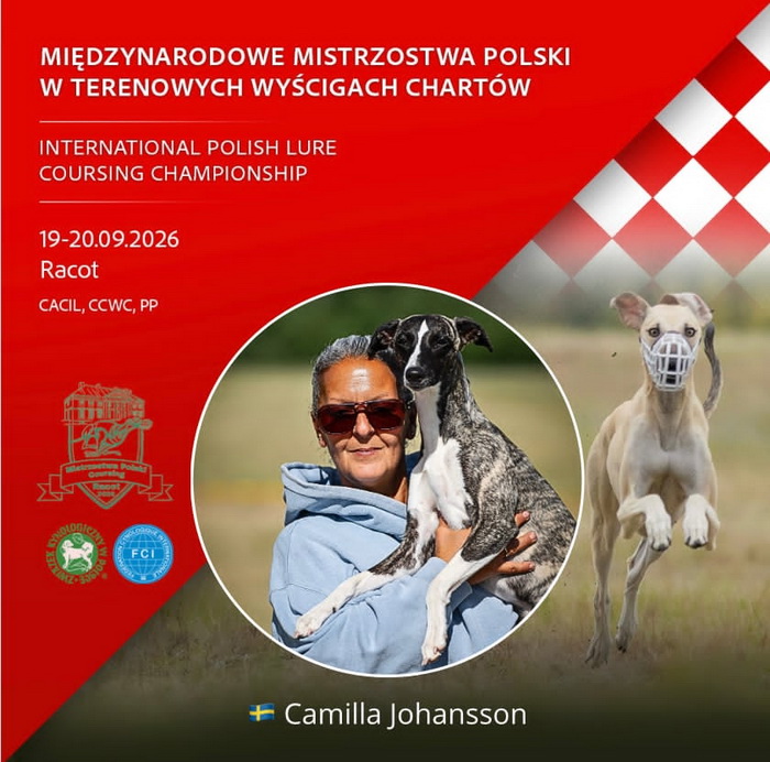 POZNAN COURSING