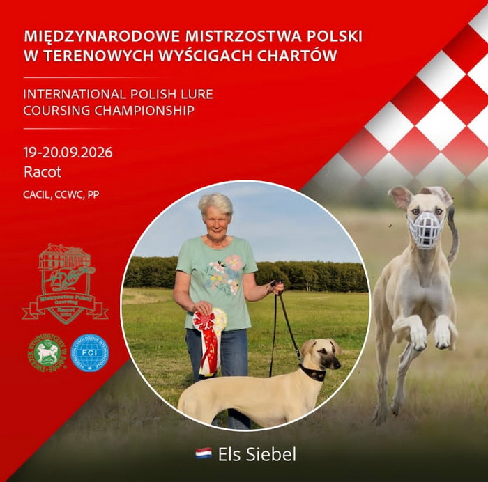 POZNAN COURSING